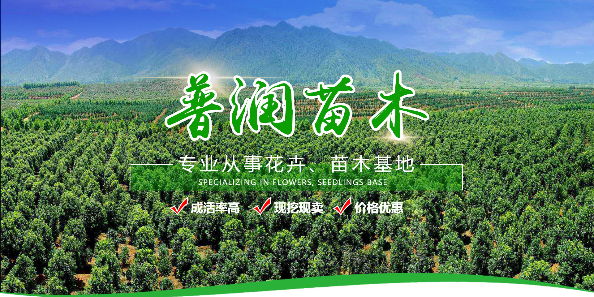智能生辰八字起名取名字